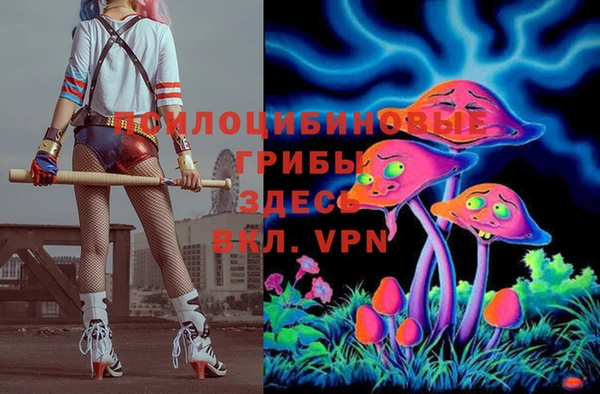 2c-b Алексеевка