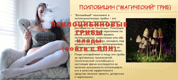 2c-b Алексеевка