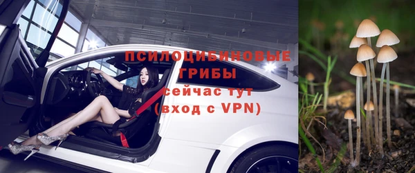 СК Алзамай