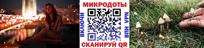 Галлюциногенные грибы Psilocybine cubensis Арамиль